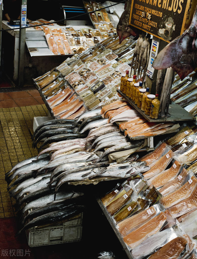 智利到底是一个什么样的国家,智利这个国家怎么来的