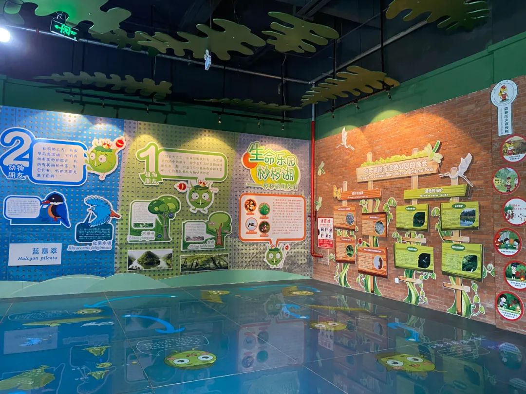 嘉阳科普乐园嬉水乐园,嘉阳科普乐园好玩吗