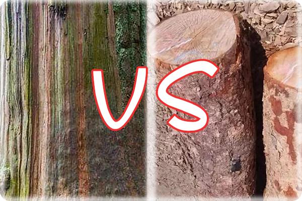 世界上最锋利的斧子,世界最安全的劈柴斧头