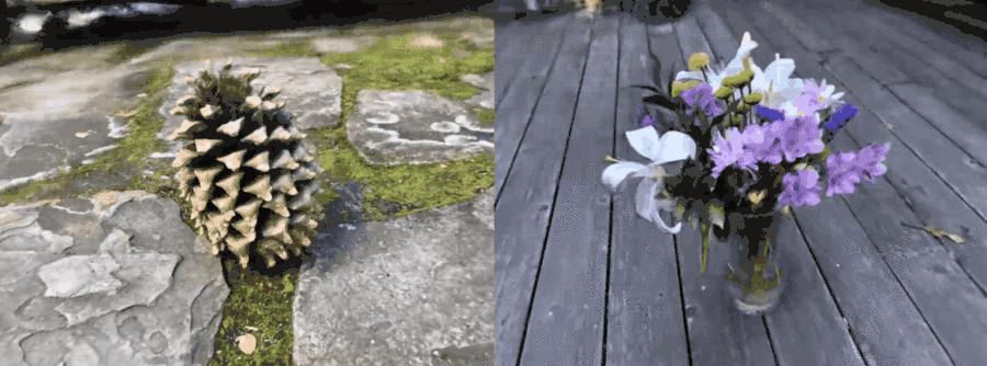 不用显卡能学c4d吗,学c4d不买oc渲染器可以吗