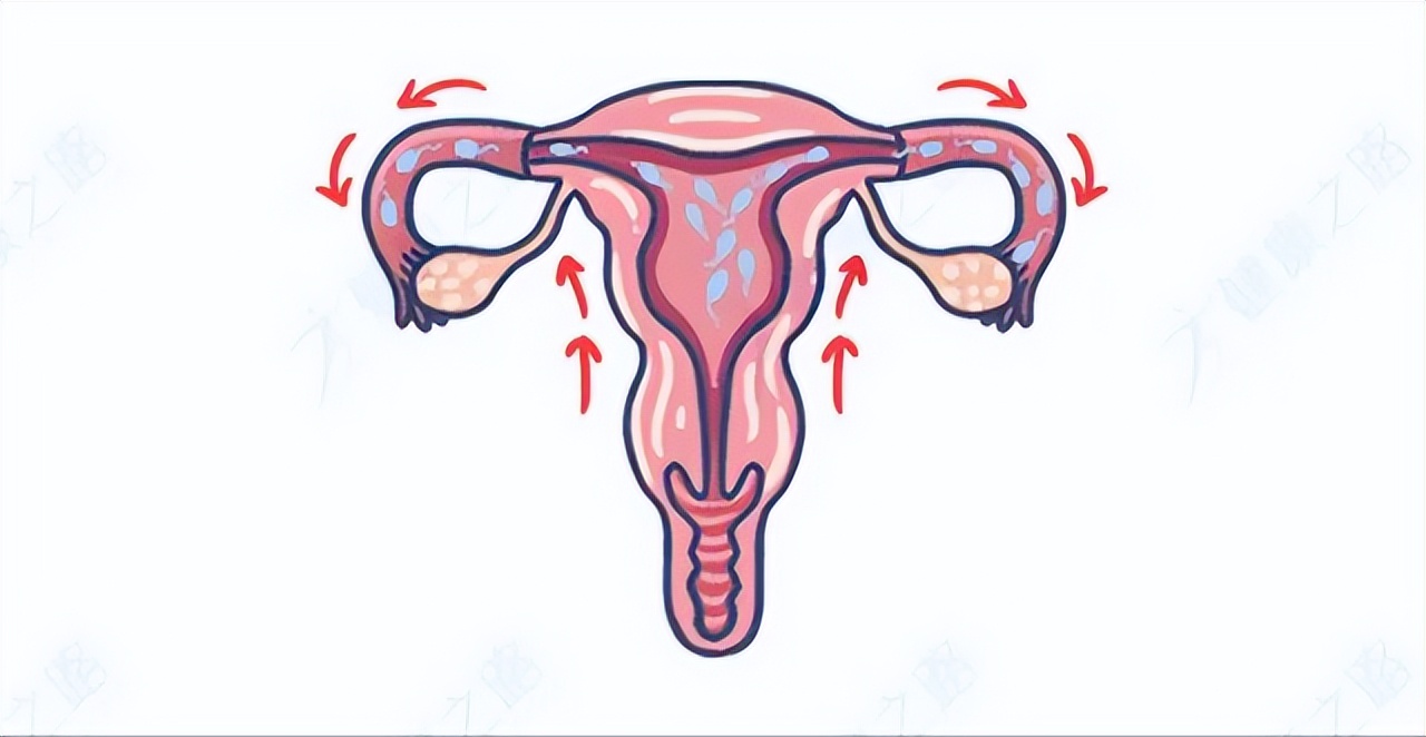 怎么样可以不吃药避孕,安全期内没有避孕措施需要吃药吗