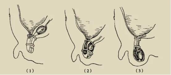 神秘之旅,神秘之旅视频