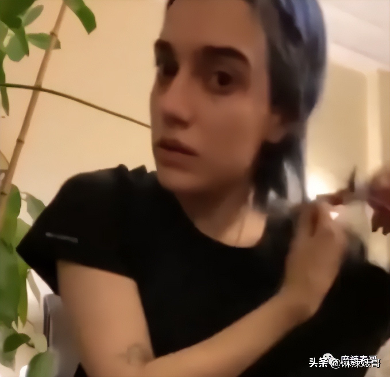 金晨模仿卡塔尔小王子自拍,金晨模仿卡塔尔王子自拍引热议