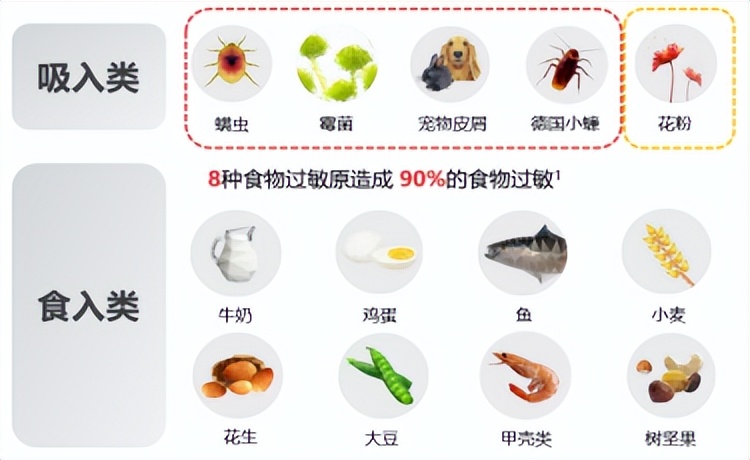 儿童过敏性紫癜关节型,儿童过敏性紫癜视频