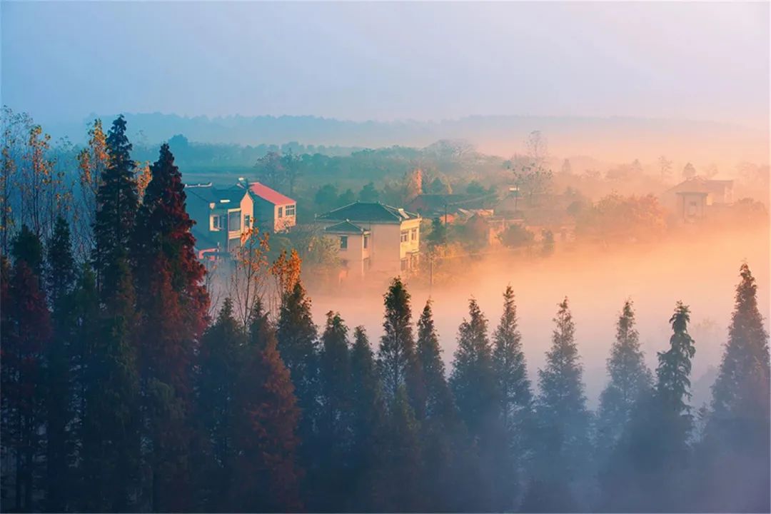 呼叫“特种兵”!目的地:江苏常州