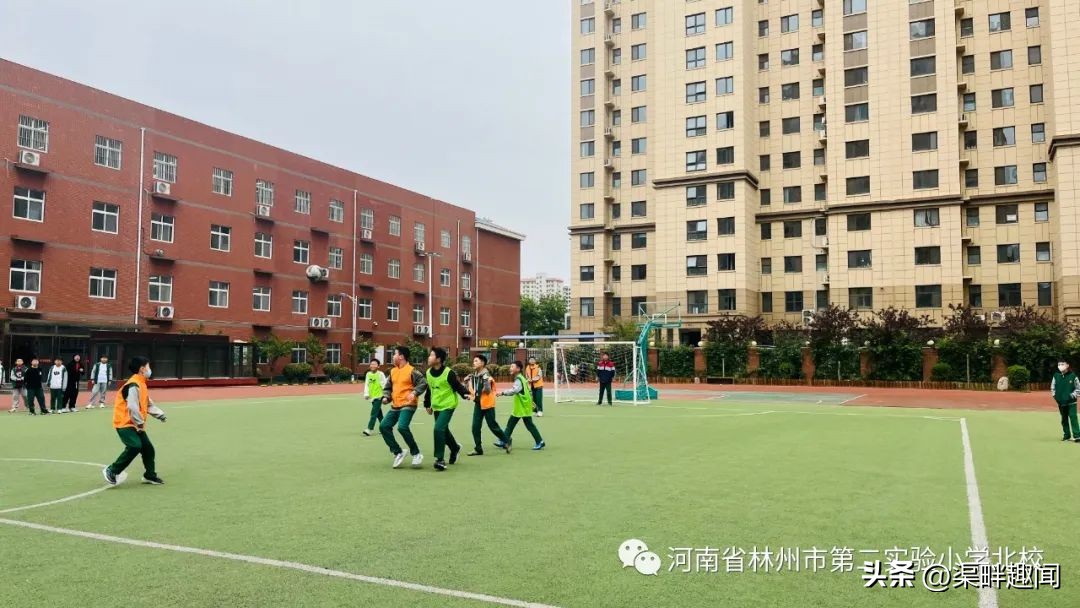 【二实小北校】七彩周记｜一路春暖花开