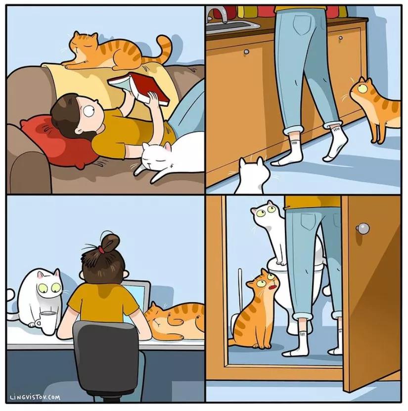 喵星人的那些事儿铲屎官漫画,猫咪铲屎官日常漫图