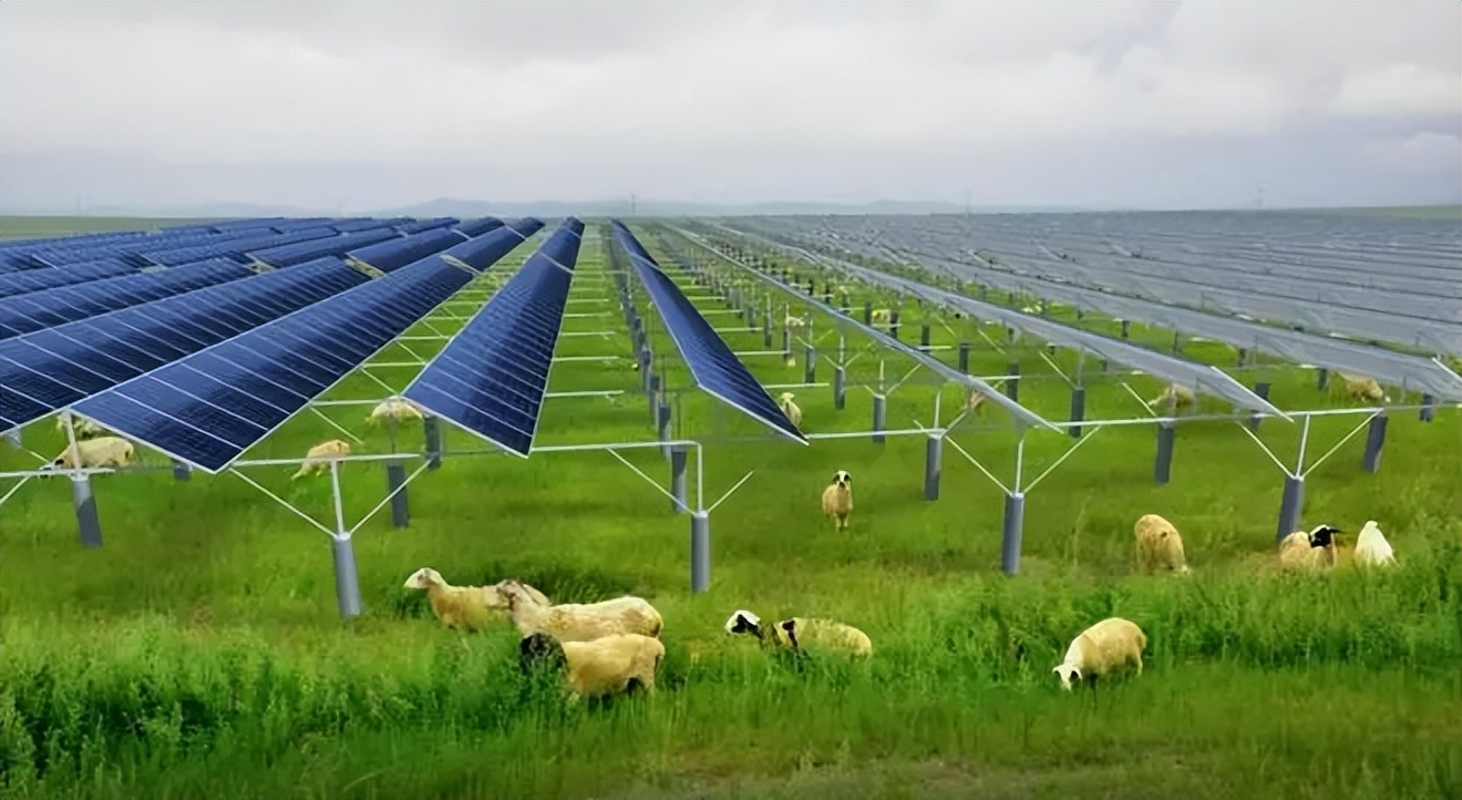 为了和中国产品竞争，不要脸的美国更不要脸了