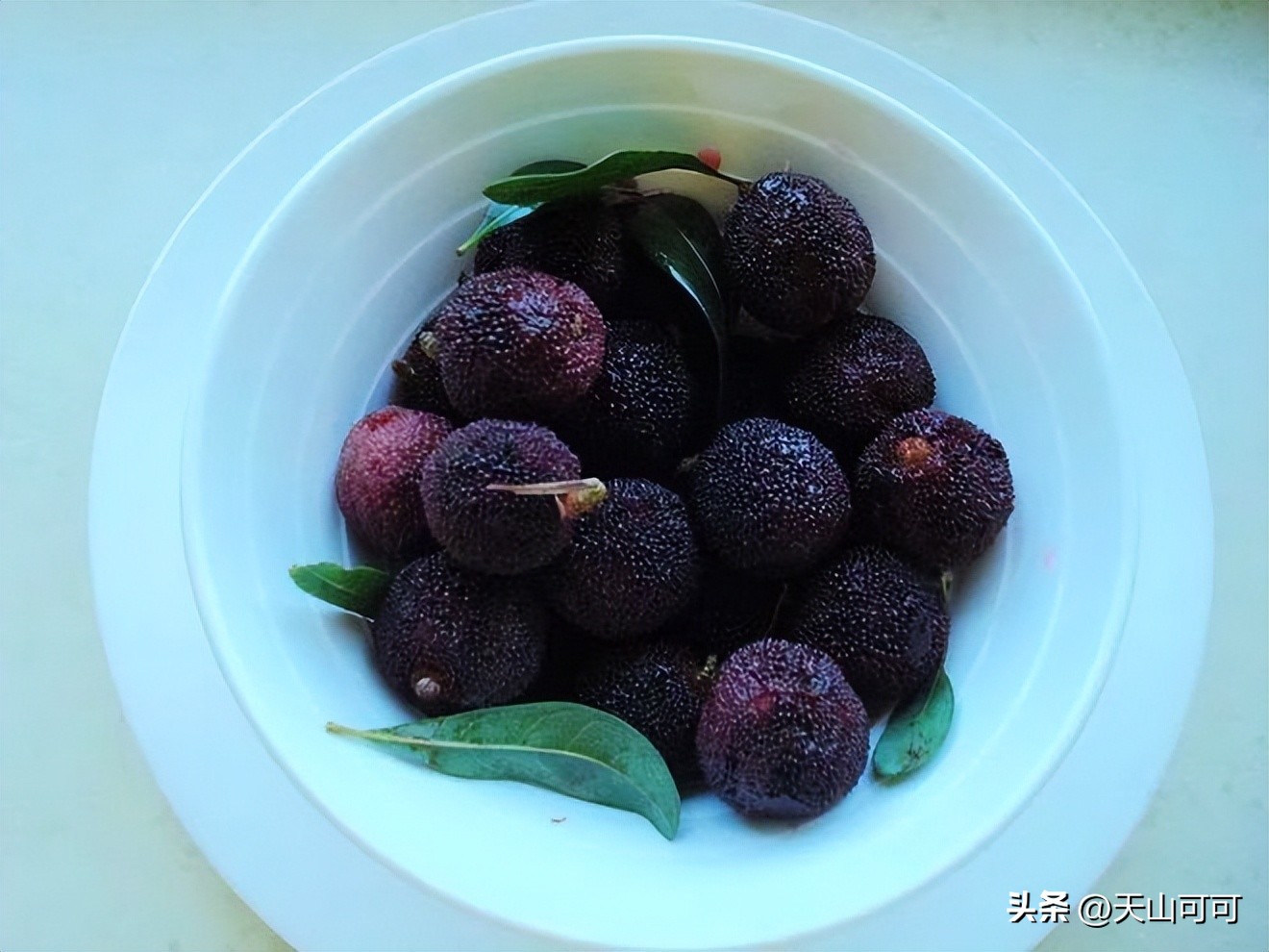 杨梅泡酒杨梅要怎么清洗,泡杨梅酒杨梅要怎么清洗