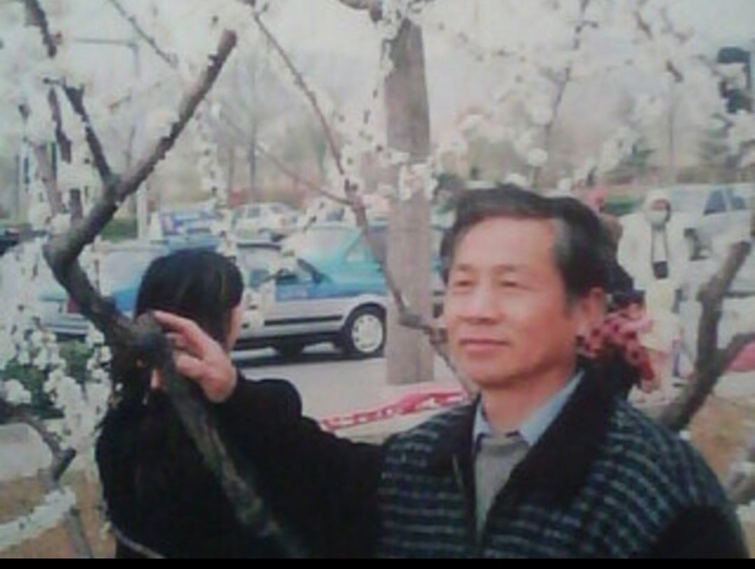 丢失牙齿,丢失的牙