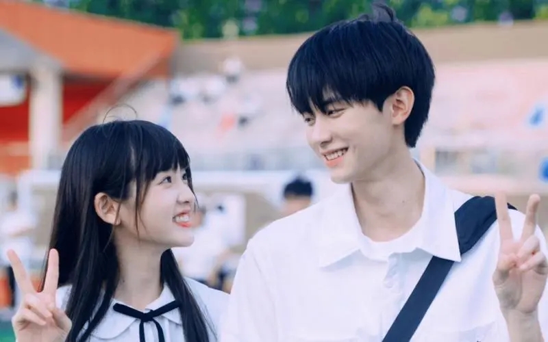 猫的树拍过的青春校园剧,猫的树导演四部校园剧