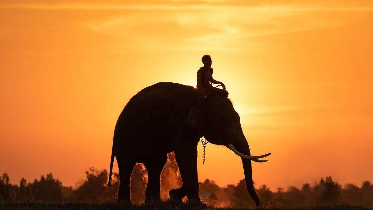 拖延青年的福音《终结拖延症》