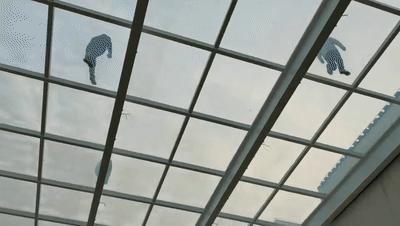 「材料篇」什么是调光玻璃?