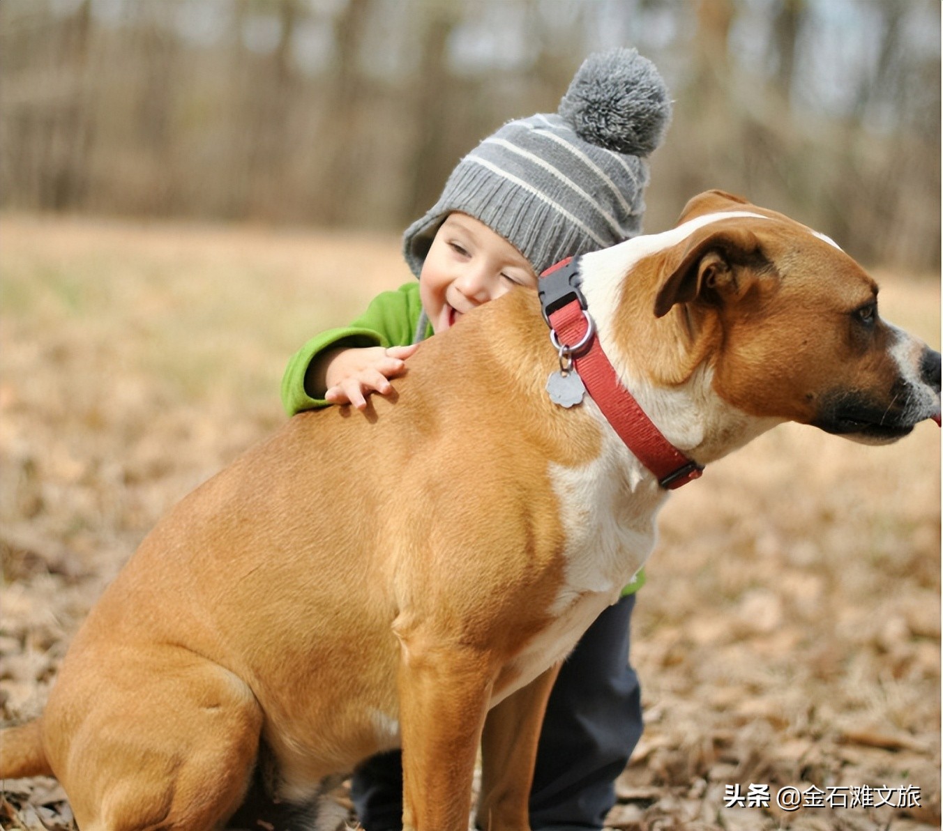 在金石滩时光海格调营地枕着星空入眠！