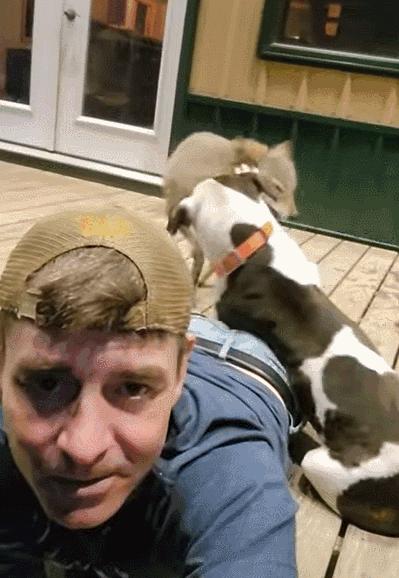 笑死！狗子天天往家里带狼，大叔从害怕到麻木，到最后来者是客