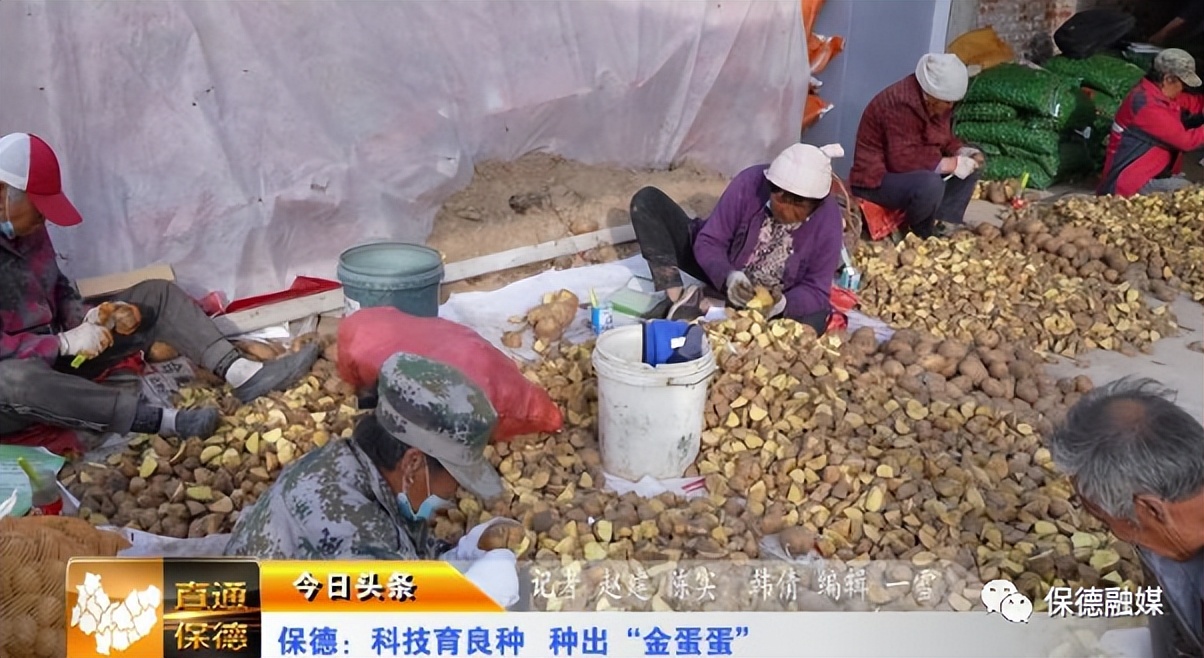 保德：科技育良种种出“金蛋蛋”