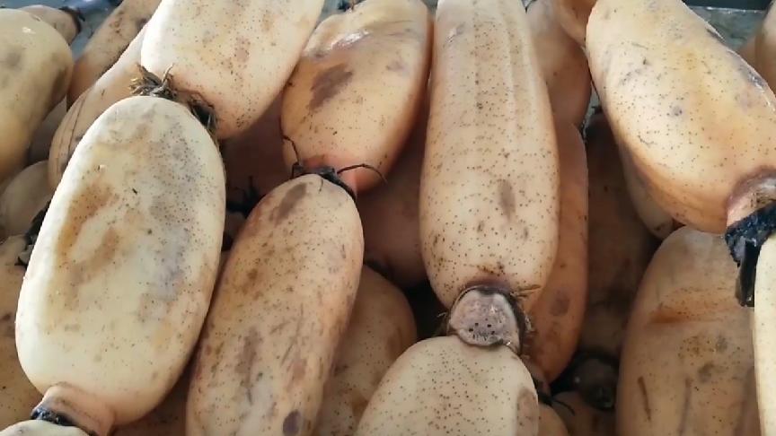 冬天，多给家人吃这“碱性菜”，隔三岔五吃一次，头发黑，牙齿好