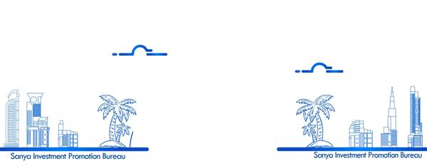 三亚示范区投资促进中心,关于设立三亚市投资促进局的决定