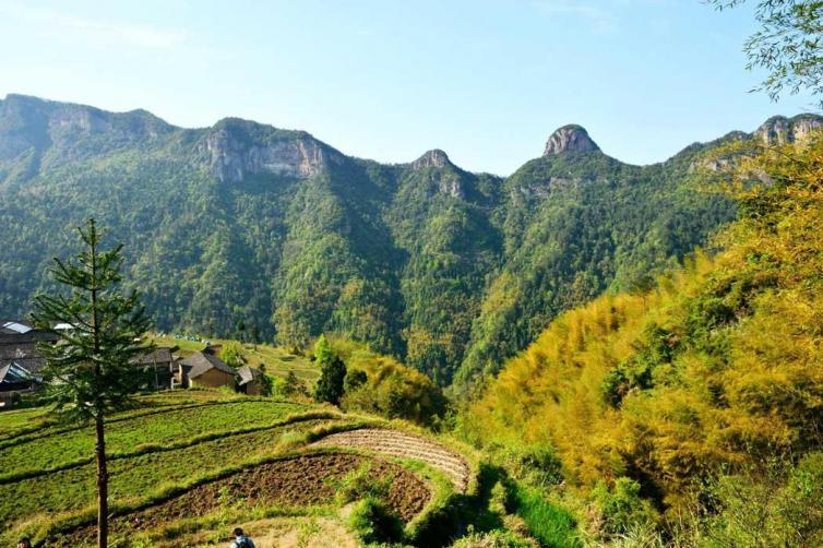 上海周边避暑新手自驾游推荐,上海周边自驾避暑胜地推荐