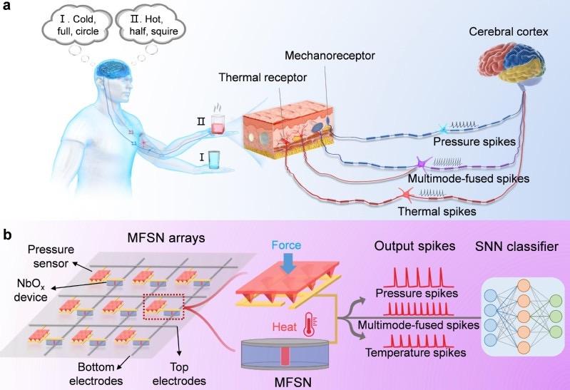 复旦团队发表研究成果,复旦大学最新科研消息