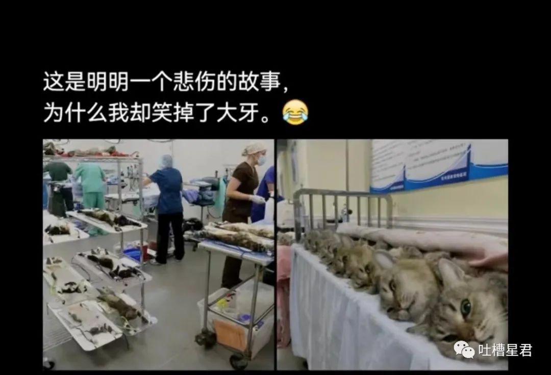 上海学生一身衣服价值127万,上海一学生穿100万衣服真的假的