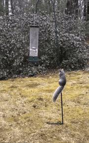 开心搞钱,开心一刻搞笑瞬间