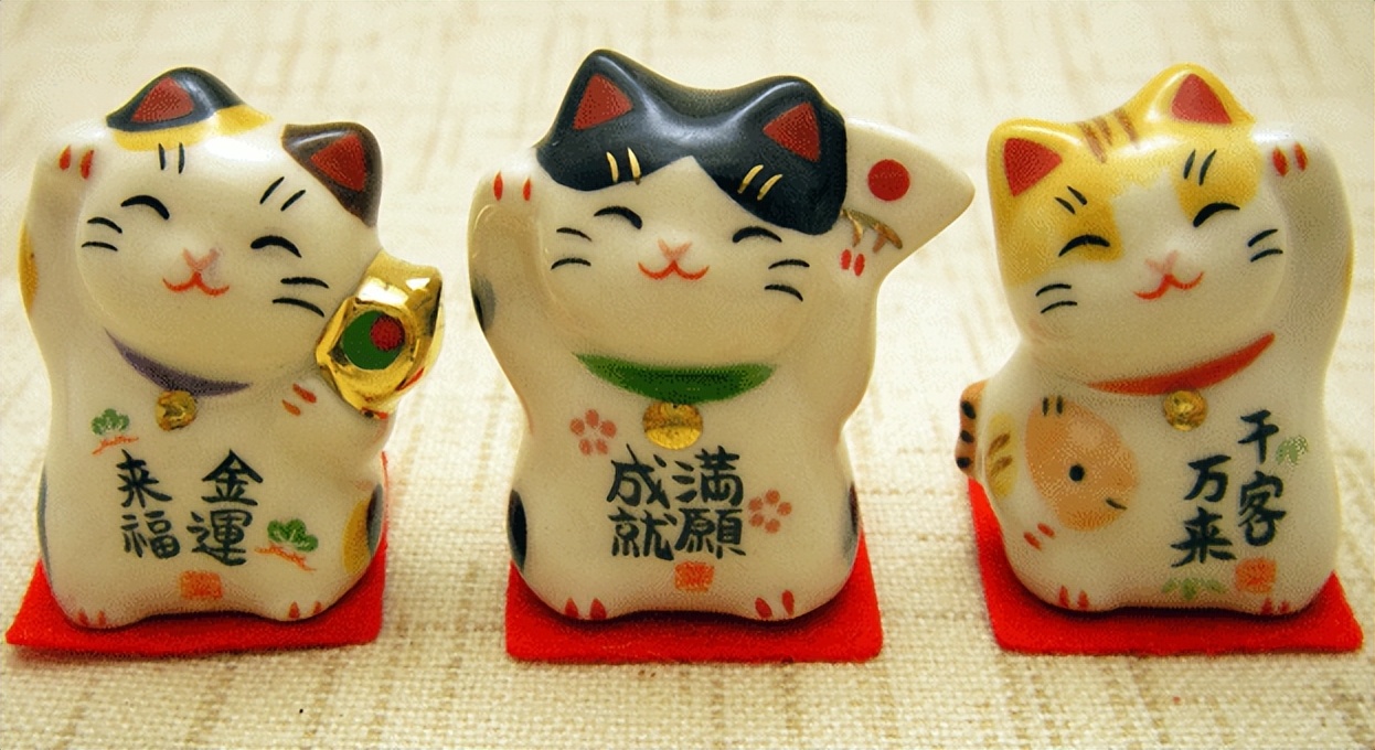 为什么有招财猫却没有招财狗鱼,为什么只有流浪猫没有流浪狗