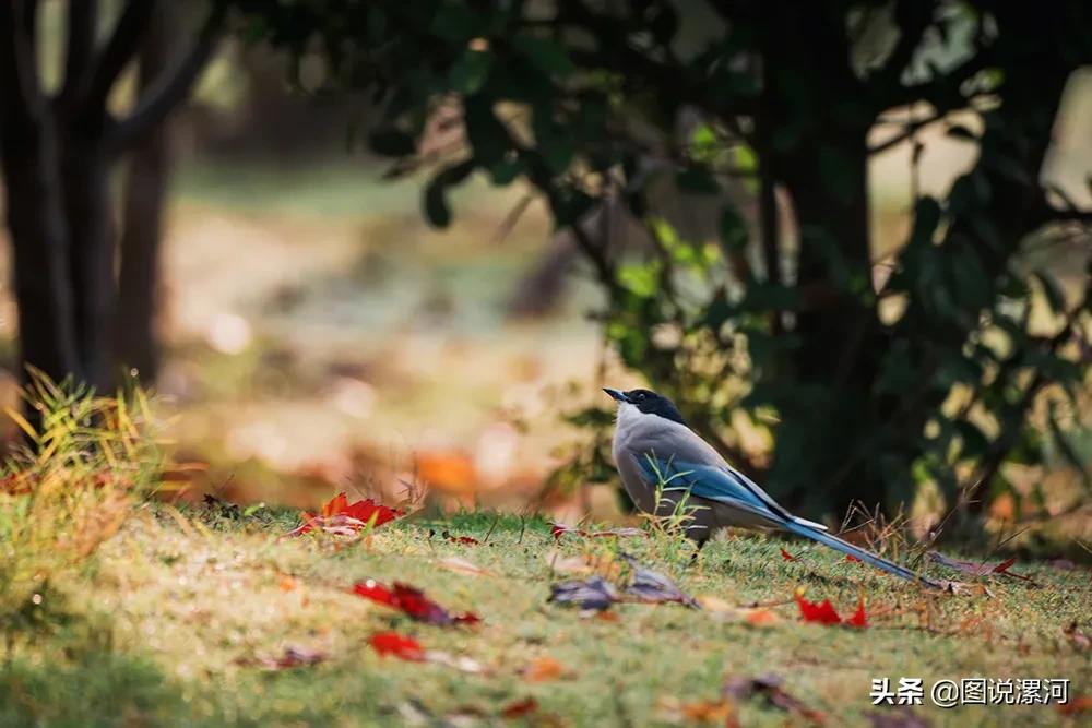 摄影比赛获奖名单公示,摄影大赛颁奖活动暨摄影展美篇