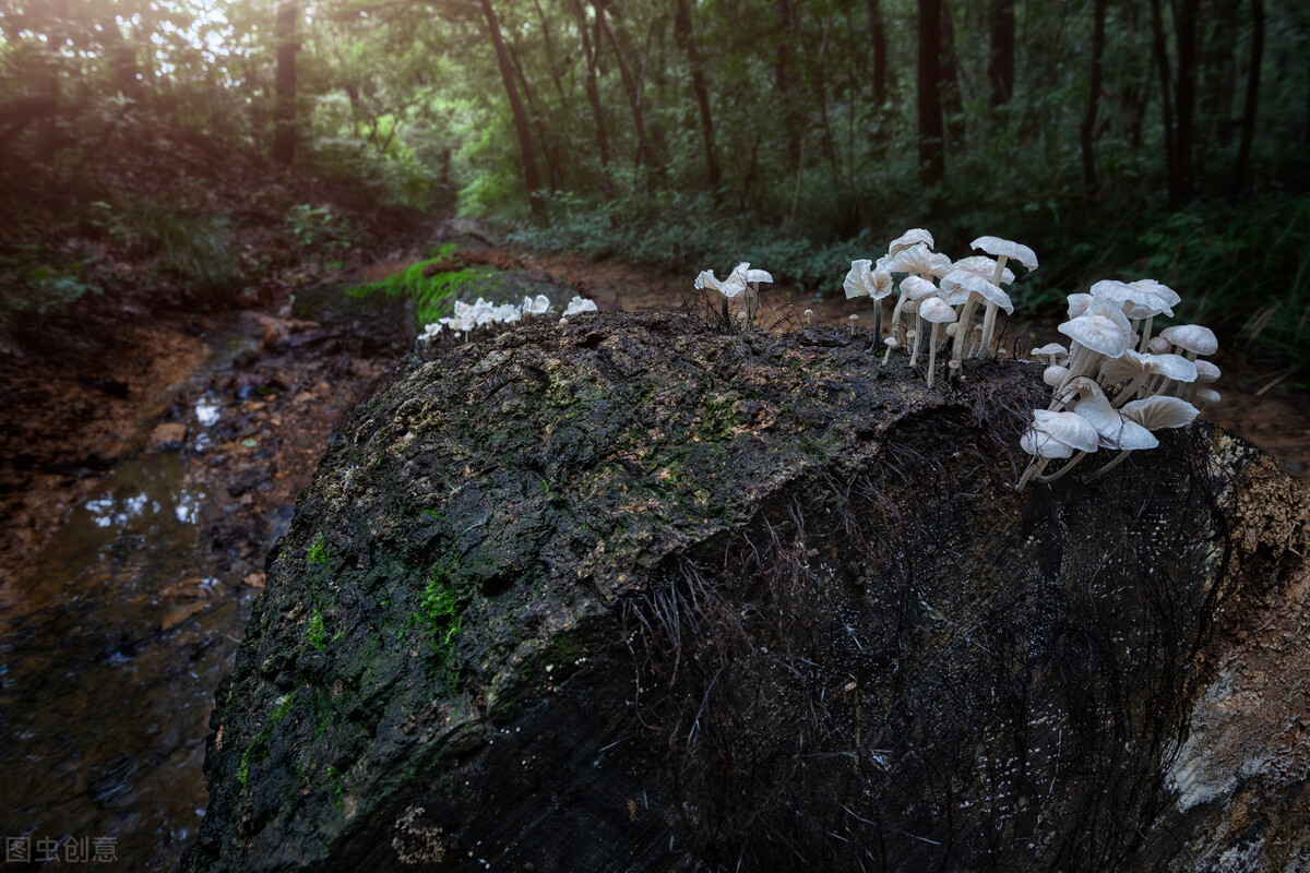下焦湿热？3种原因3种方法，教你正确清湿除热