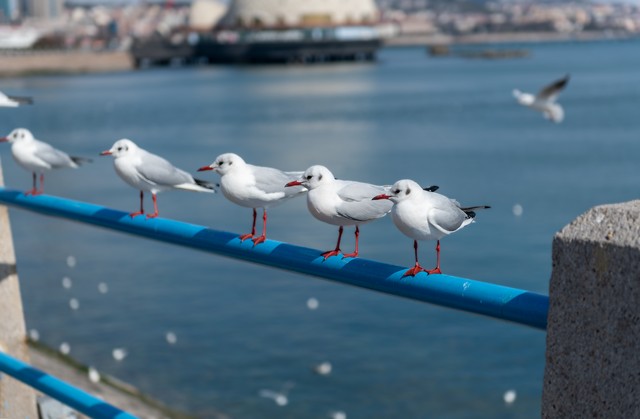 海口五一赶海时间和最佳赶海时间,目前海边旅游赶海推荐