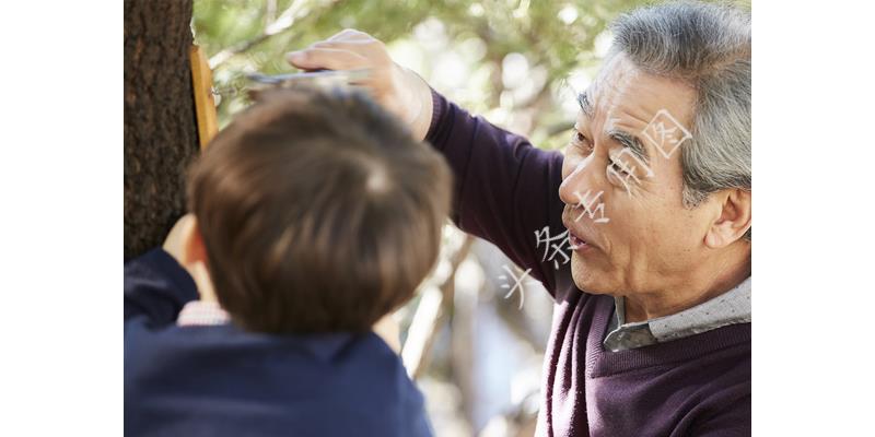 女子怀孕四个月吃煎蛋被赶出家门,女子怀孕因一个鸡蛋被抛弃完整版