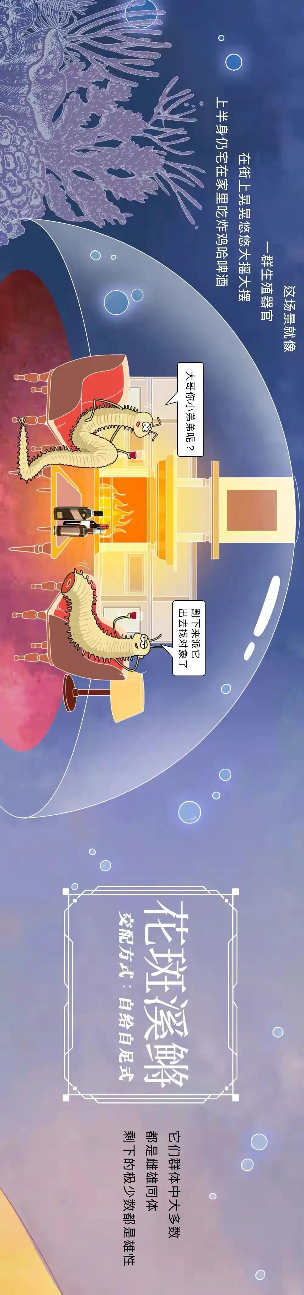 海陆空动物交配姿势对照表（严肃正经版）