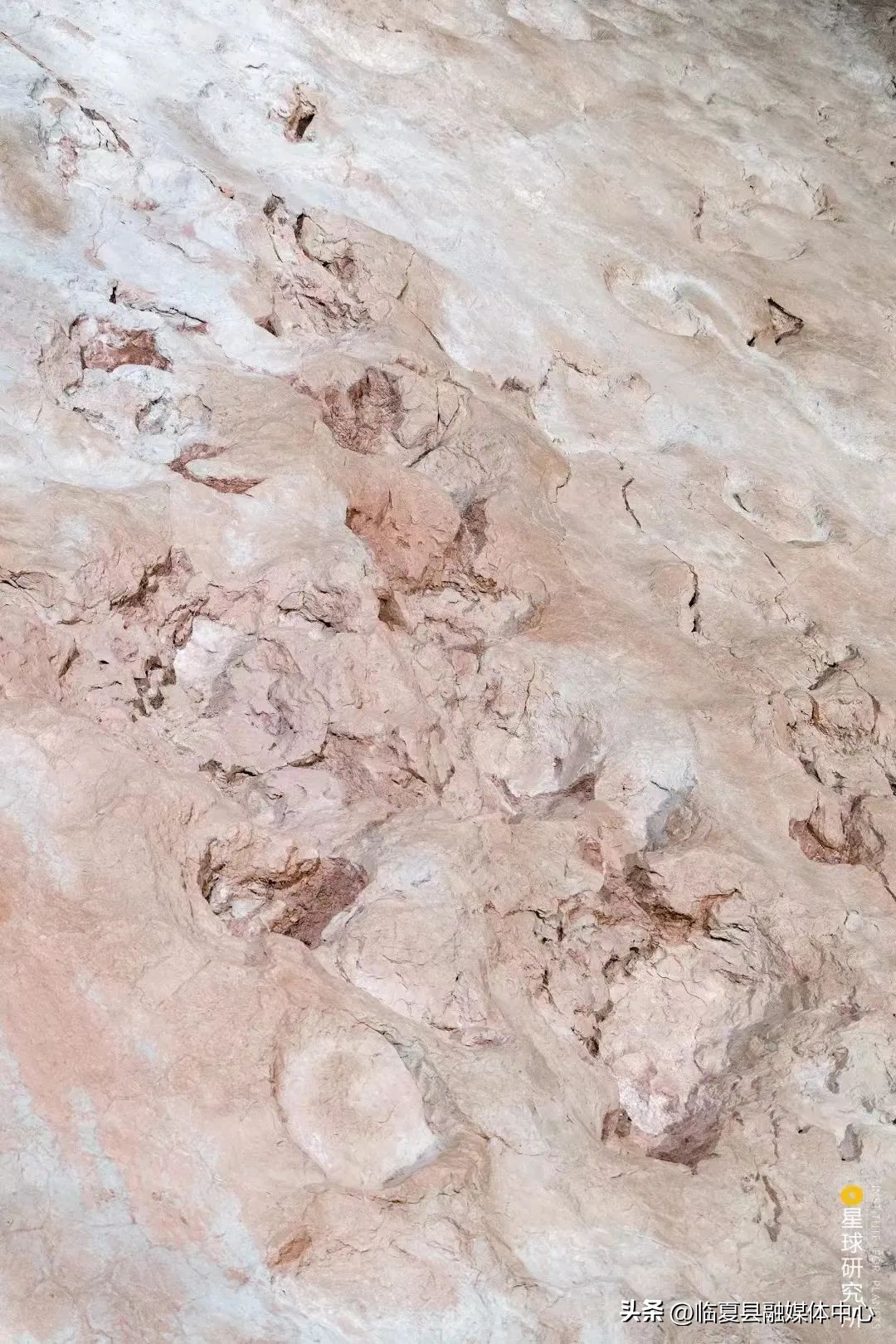 现在甘肃临夏的风景是真美,甘肃临夏风光视频