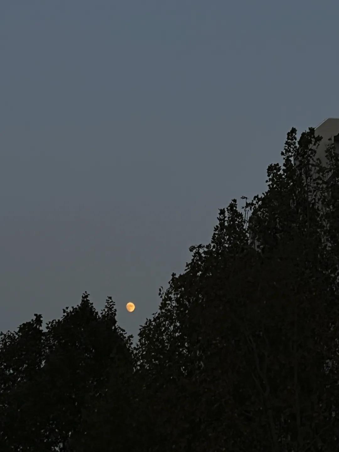 没有缺点的iphone13promax,iphone13promax与iphone13pro