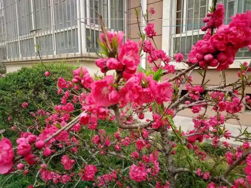 春天风景诗原创,与春天约会的诗歌原创