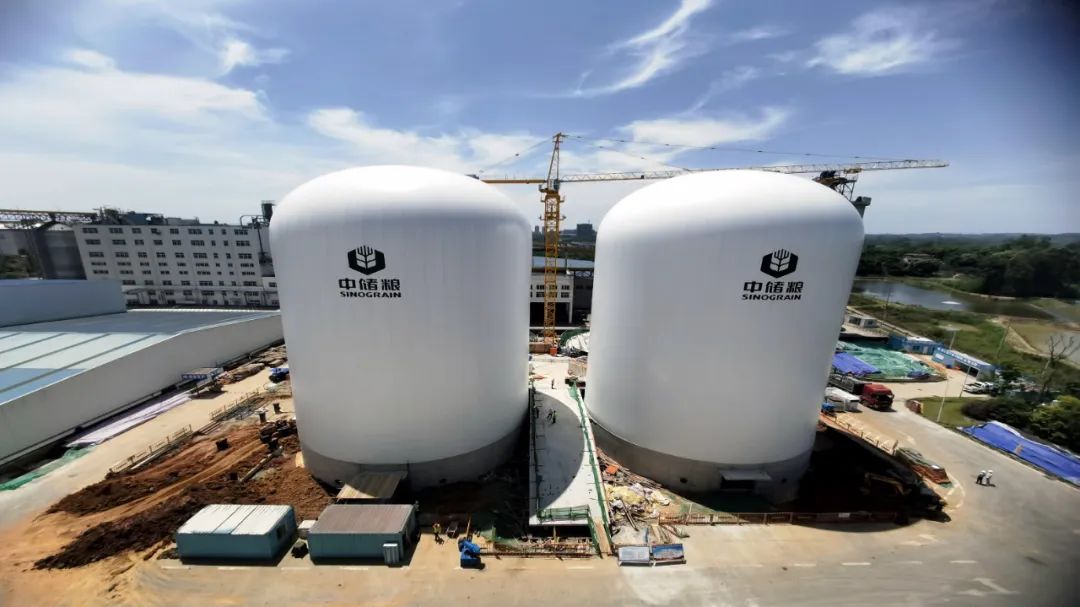 粮食气膜仓正式投运,“吹起来”的粮食气膜仓