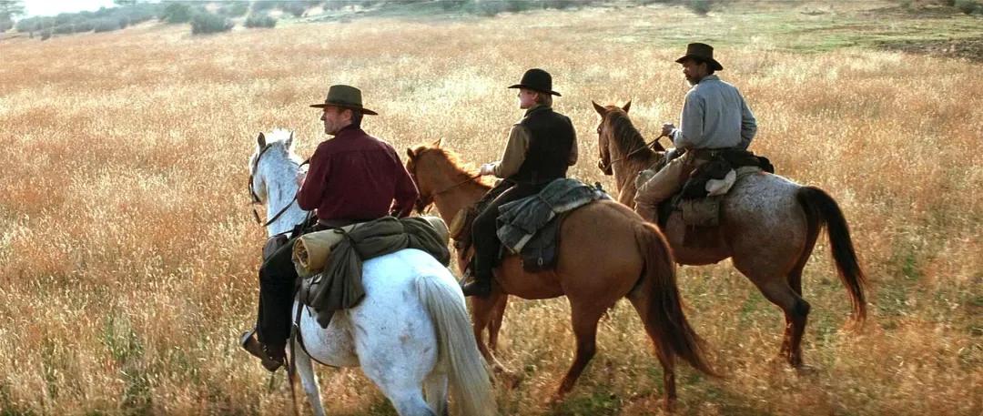 九牧王带松紧男裤,九牧王带褶男裤