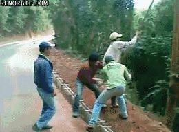 真实大象的照片,在野外拍到的真实大象