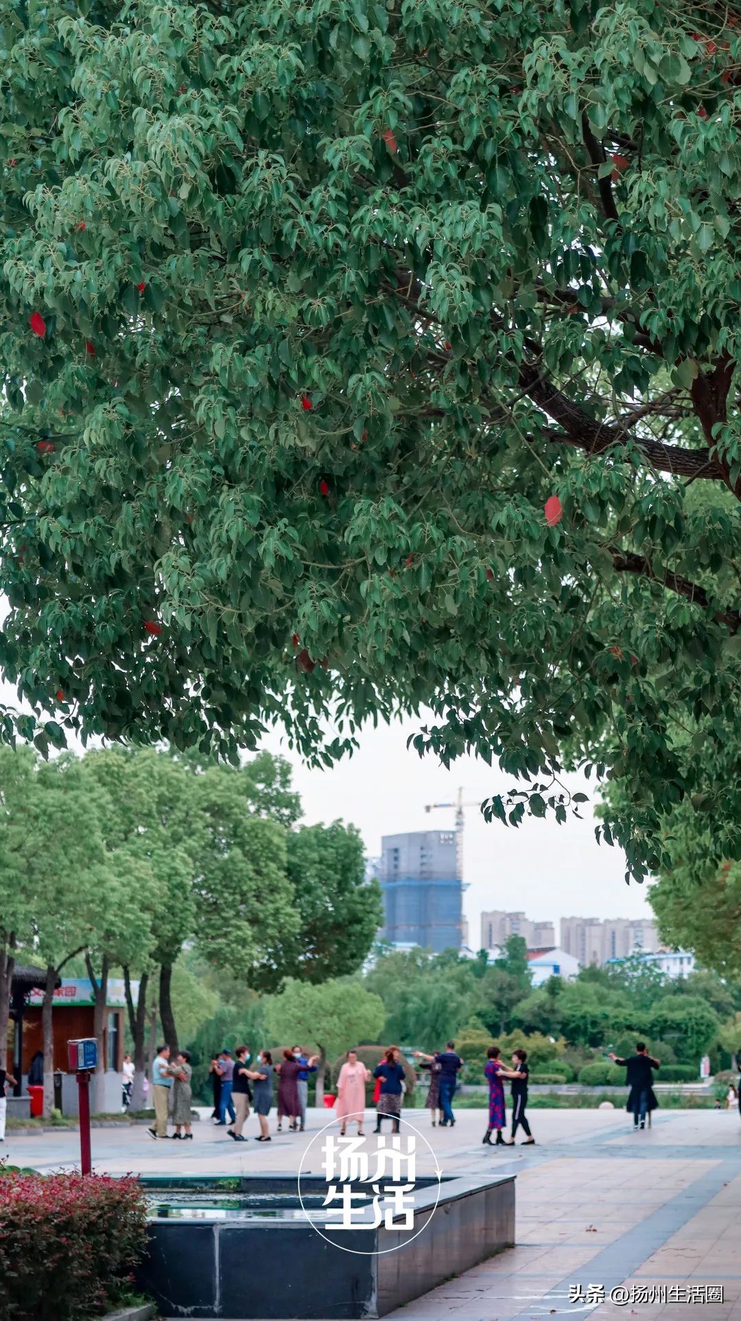 东区内卷之王，观潮路