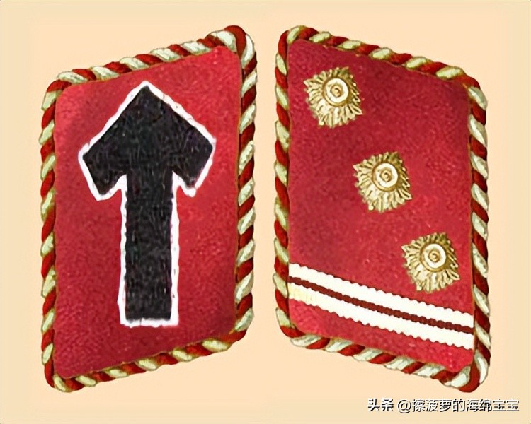 纳粹冲锋队用的什么枪,纳粹德军军衔图解