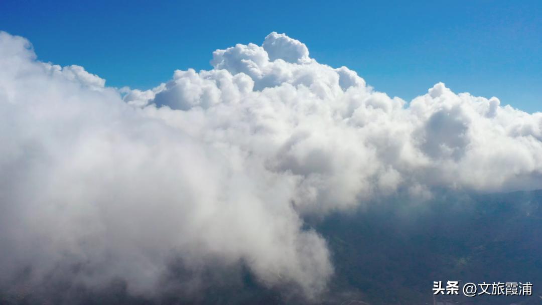 东海1号海钓,东海1号