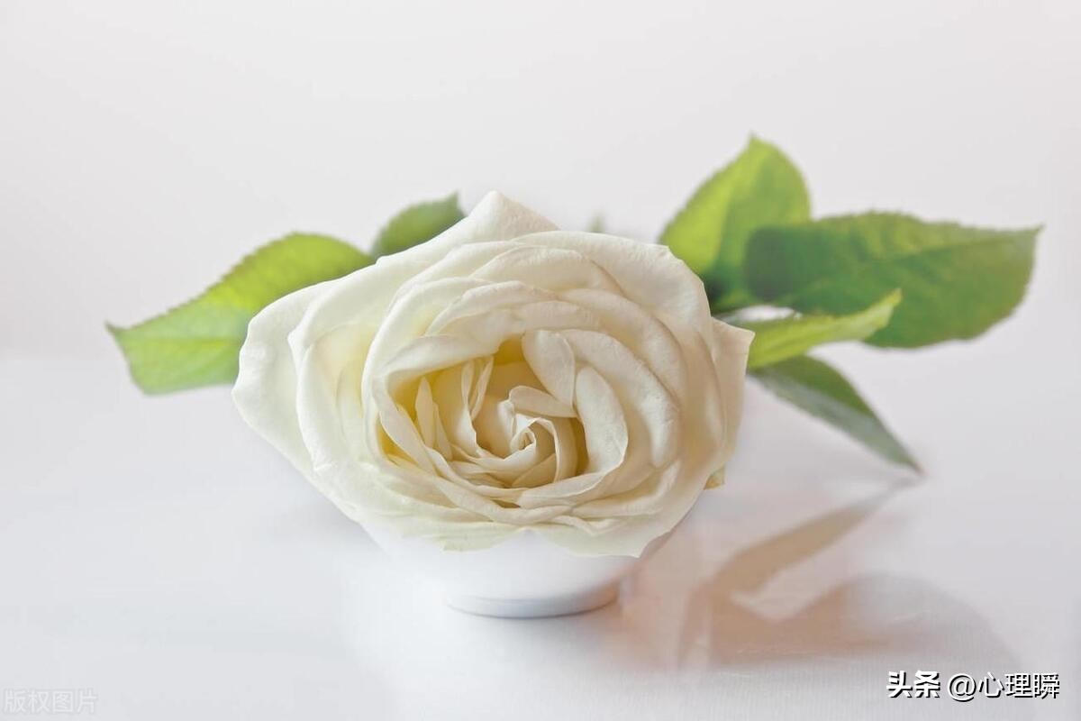 我还不想谈恋爱怎么回复,相亲女生说不想谈恋爱怎么回复