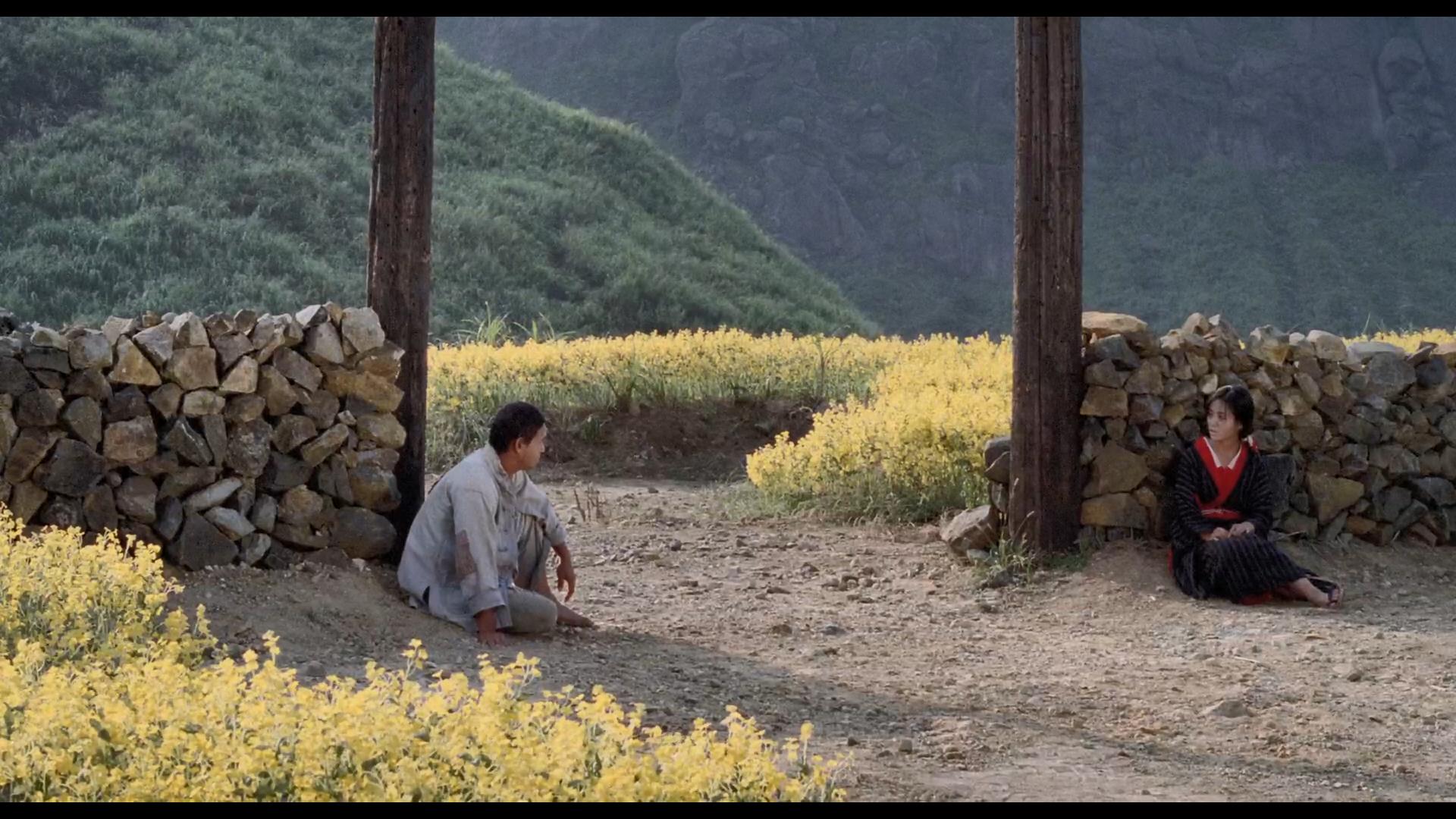 无言的山丘电影正片,无言的山丘电影结局