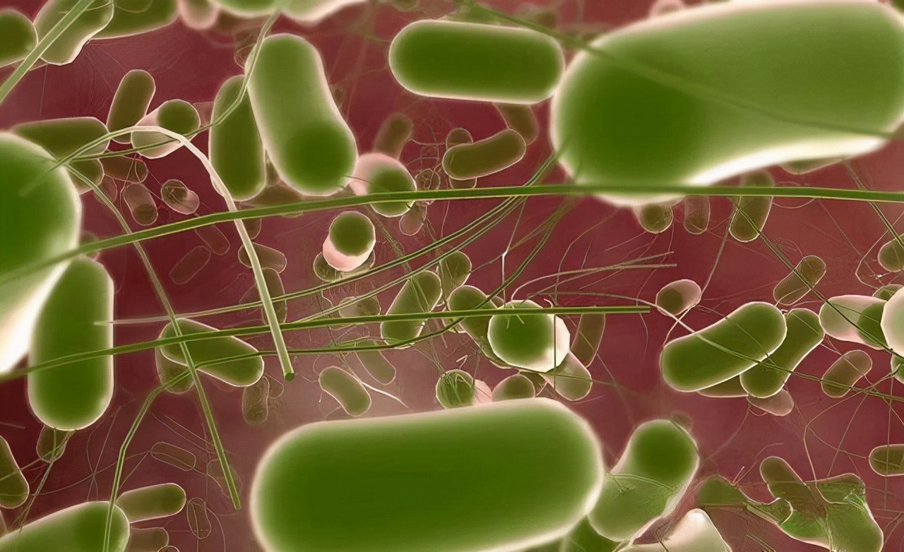 一瓶甲硝唑片多少钱,甲硝唑几块和几十块的有区别吗