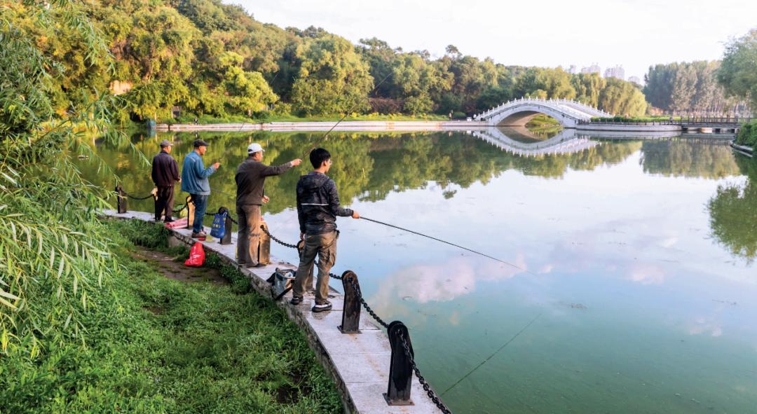 翘嘴用饵作钓口诀,翘嘴鱼拟饵