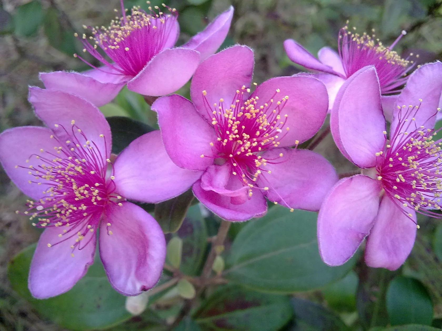 在春暖花开季节遇见浪漫,浪漫总是发生在春暖花开时配音