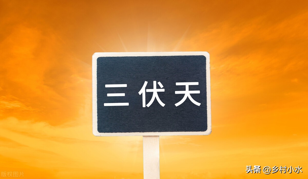 今年三伏天时间表2023几点入伏,2021年三伏天入伏总时间表