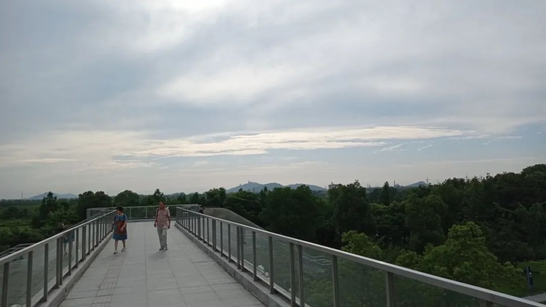 松江洞泾板块未来发展,上海松江洞泾未来5年发展