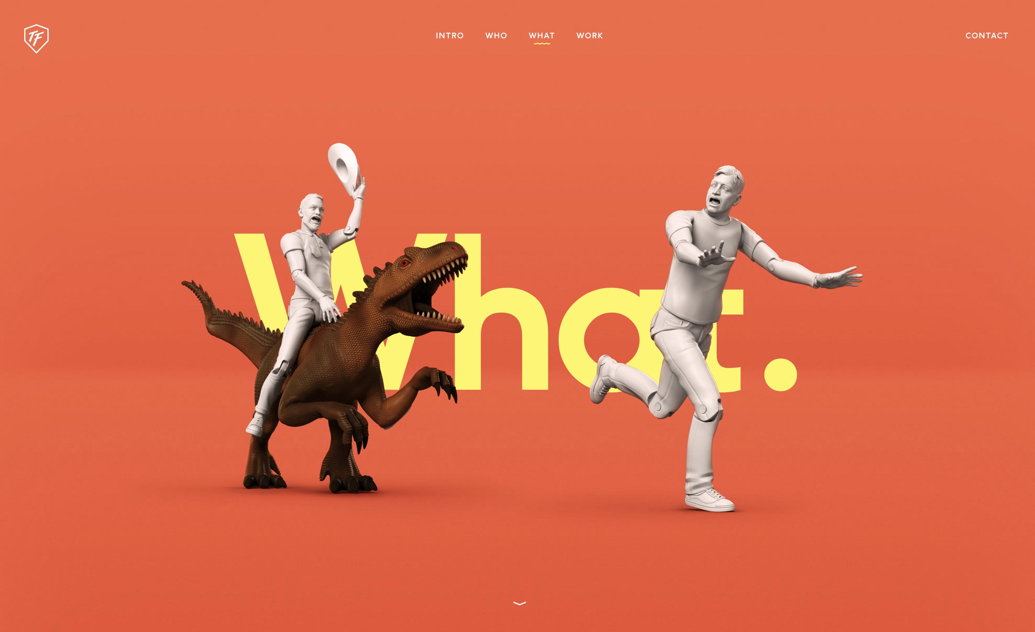 合肥网站建设公司,乐清网站建设公司