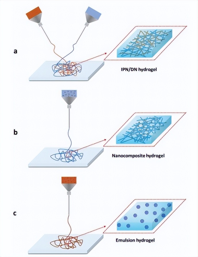 干细胞让心肌细胞重生,干细胞与器官再生能实现吗